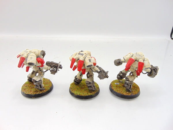 Inceptors