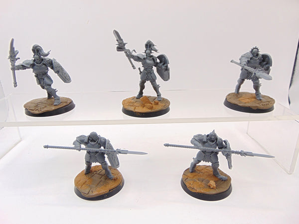 Vindictors