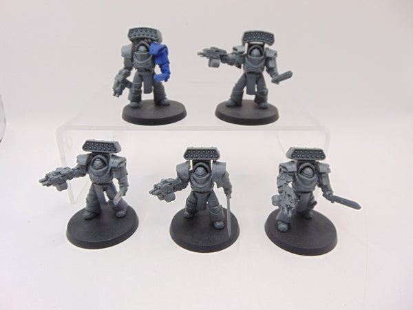 Cataphractii Terminator Squad