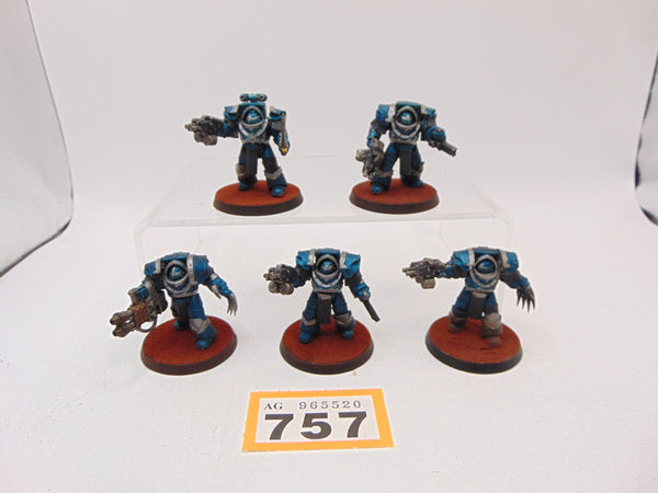 Cataphractii Terminator Squad
