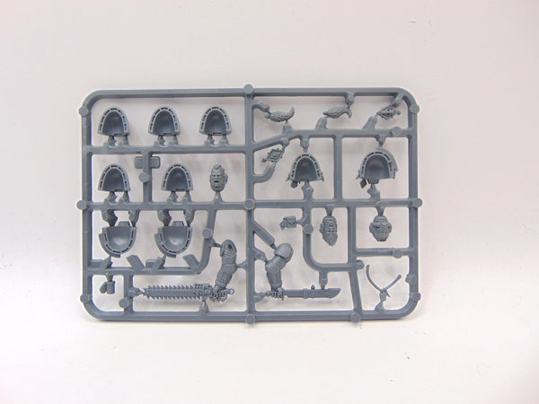 Space Wolves Primaris Upgrades