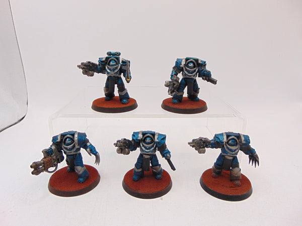 Cataphractii Terminator Squad