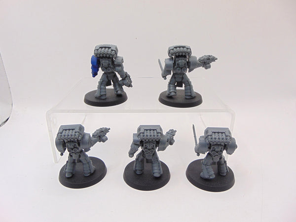 Cataphractii Terminator Squad