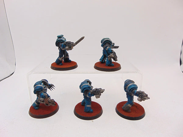 Cataphractii Terminator Squad