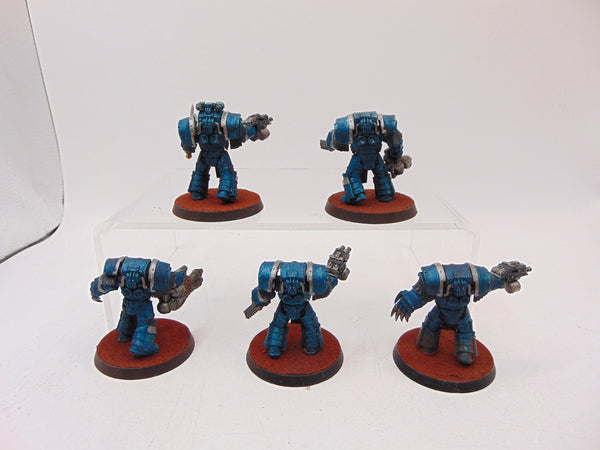 Cataphractii Terminator Squad