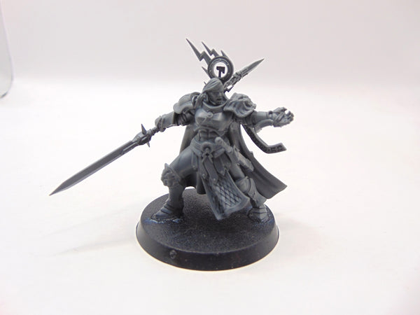 Knight Questor Larissa Shadowstalker