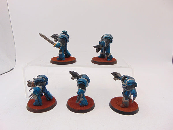 Cataphractii Terminator Squad