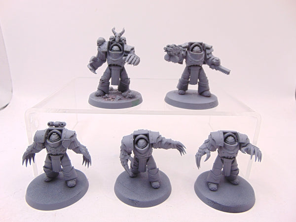 Cataphractii Terminator Squad