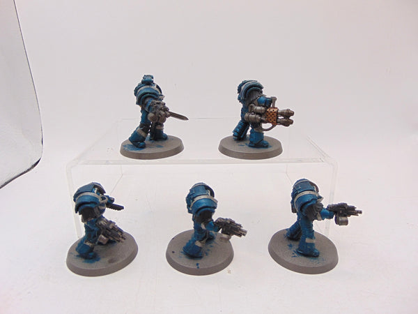 Cataphractii Terminator Squad