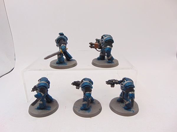 Cataphractii Terminator Squad