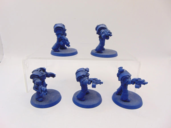 Cataphractii Terminator Squad