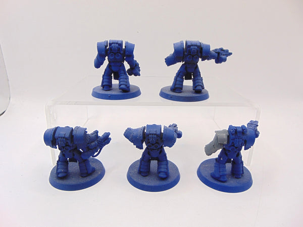 Cataphractii Terminator Squad