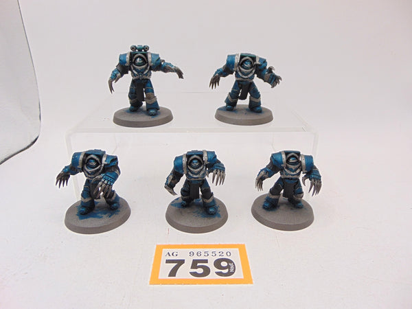Cataphractii Terminator Squad