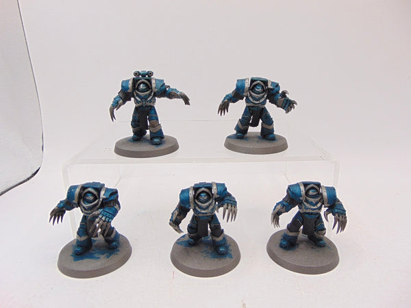 Cataphractii Terminator Squad