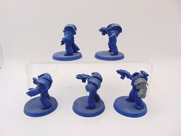 Cataphractii Terminator Squad