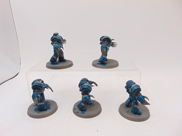 Cataphractii Terminator Squad