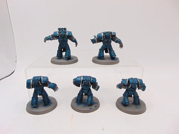 Cataphractii Terminator Squad