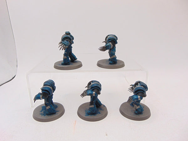 Cataphractii Terminator Squad
