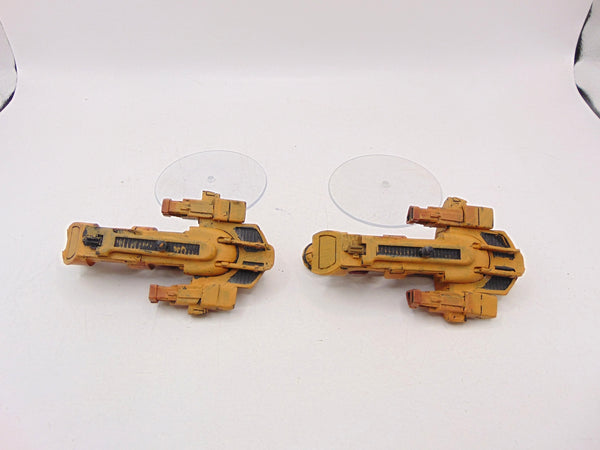 Tetras