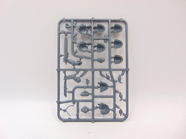 Space Wolves Primaris Upgrades