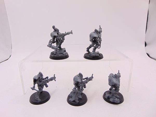 Warp Spiders