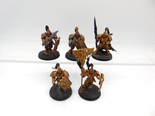 Custodian Guard