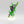 Overlord with Translocation Shroud