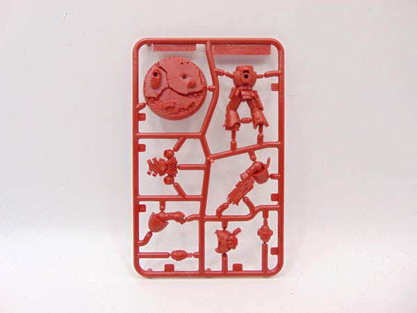 Brother Titus / Marzio