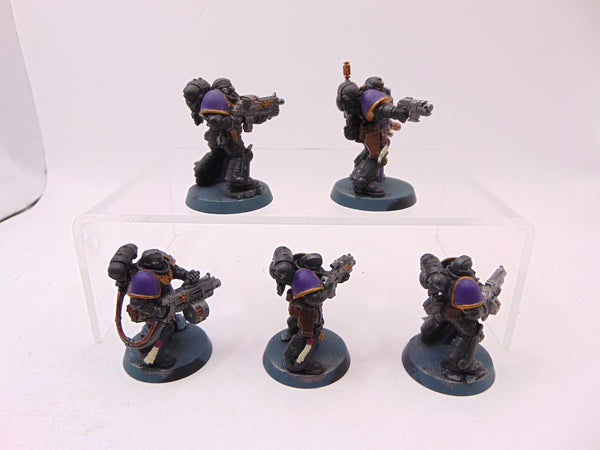 Sternguard Veterans
