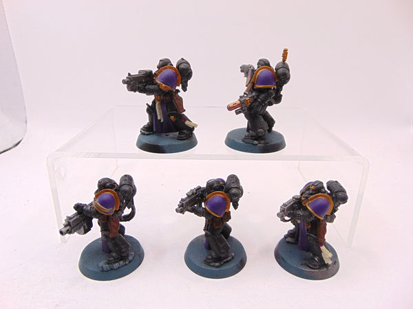 Sternguard Veterans