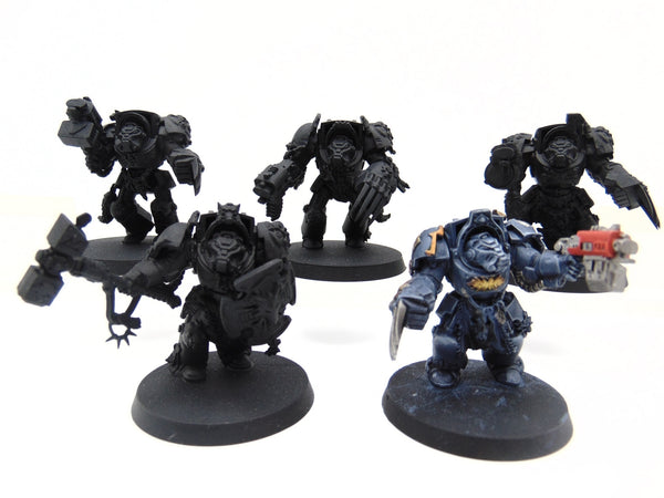 Wolf Guard Terminators