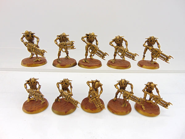 Necron Warriors