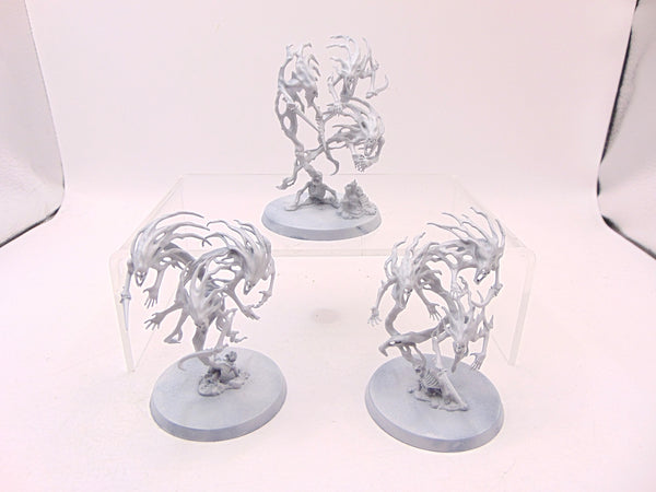 Spirit Hosts