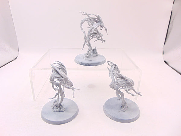 Spirit Hosts