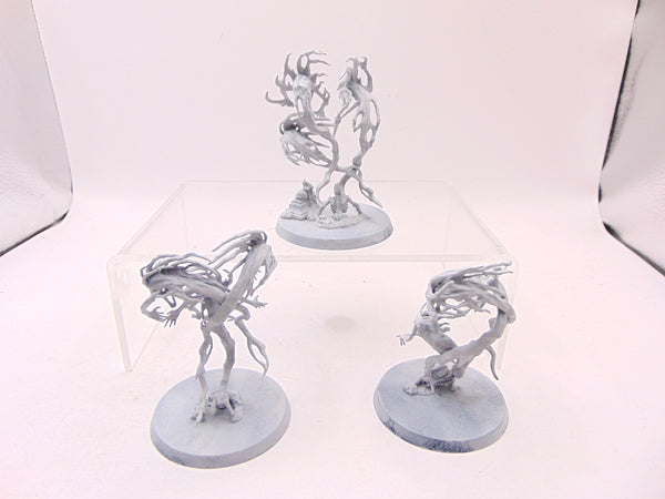 Spirit Hosts