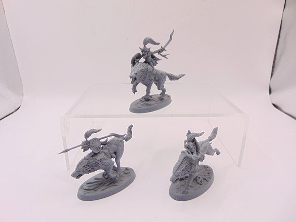 Snarlboss & Wolfgit Retinue