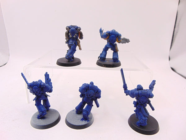 Assault Intercessors