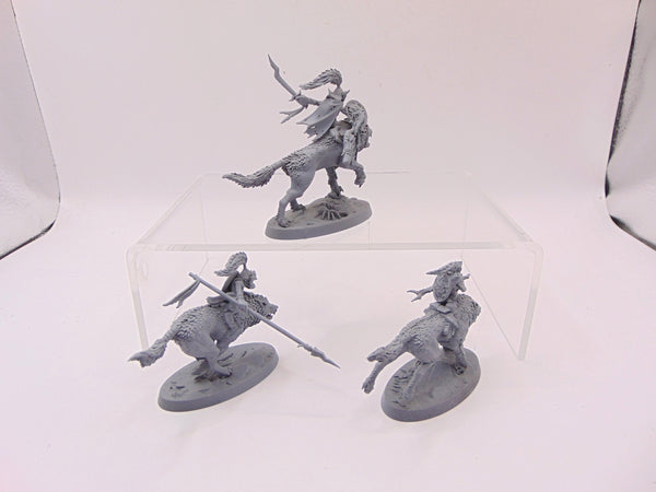 Snarlboss & Wolfgit Retinue