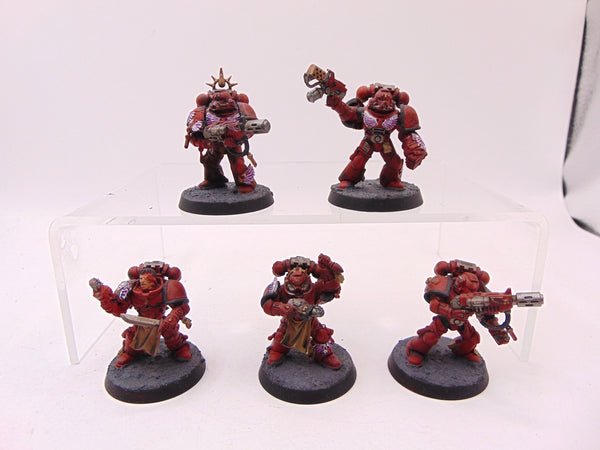Sternguard Veterans Conversion