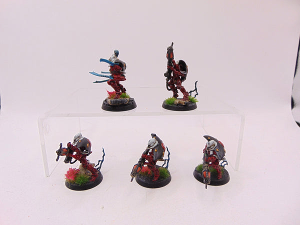 Warp Spiders