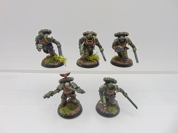 Raptors Intercessors