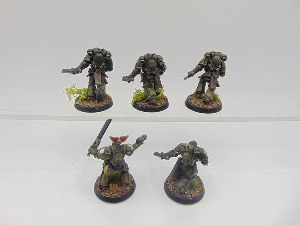 Raptors Intercessors