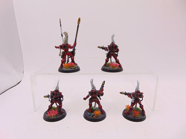 Fire Dragons