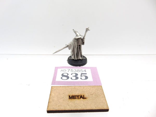 Gandalf the Grey