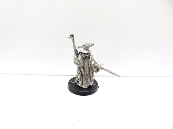 Gandalf the Grey