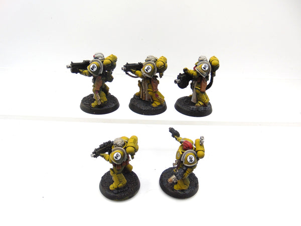 Sternguard Veterans