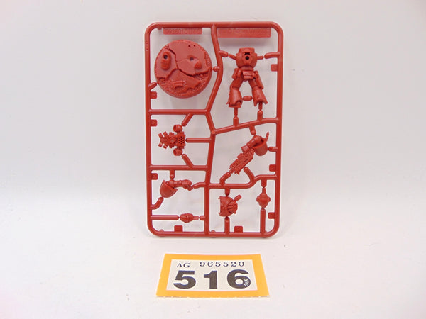 Brother Titus / Marzio