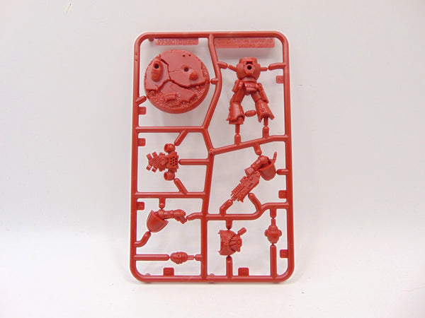 Brother Titus / Marzio