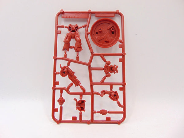 Brother Titus / Marzio