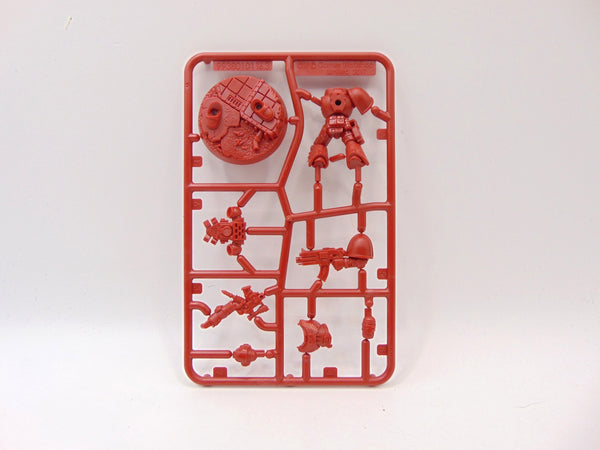 Brother Garus / Vesta